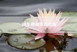 拼车顺风车司机版