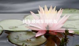 拼车顺风车司机版
