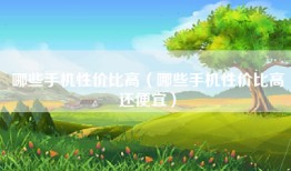哪些手机性价比高（哪些手机性价比高还便宜）