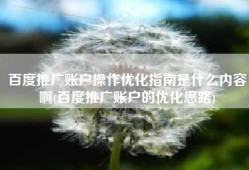 百度推广账户操作优化指南是什么内容啊(百度推广账户的优化思路)
