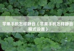 苹果手机怎样静音（苹果手机怎样静音模式设置）