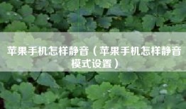 苹果手机怎样静音（苹果手机怎样静音模式设置）