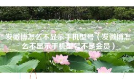 发微博怎么不显示手机型号（发微博怎么不显示手机型号不是会员）