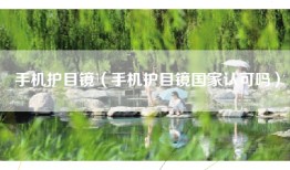 手机护目镜（手机护目镜国家认可吗）