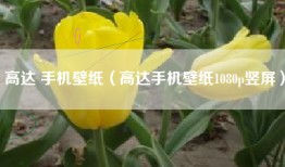 高达 手机壁纸（高达手机壁纸1080p竖屏）