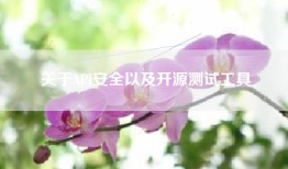 关于API安全以及开源测试工具