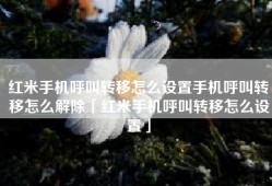 红米手机呼叫转移怎么设置手机呼叫转移怎么解除「红米手机呼叫转移怎么设置」