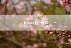 Jenkins+git安装