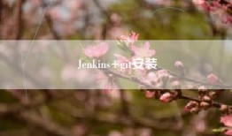 Jenkins+git安装