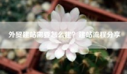 外贸建站需要怎么建？建站流程分享