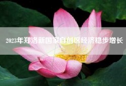 2023年郑洛新国家自创区经济稳步增长