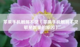 苹果手机触屏不灵（苹果手机触屏不灵敏是哪里的原因）