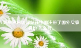 阿里巴巴国际站在中国注册了国外买家身份 怎么修...