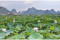 2024年端午节是几号 2024年端午节斋醮是吉日吗