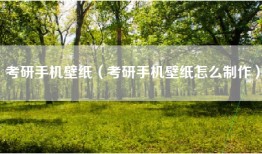 考研手机壁纸（考研手机壁纸怎么制作）