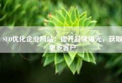 SEO优化企业网站：提升品牌曝光，获取更多客户