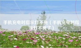 手机充电时指示灯不亮（手机充电时指示灯不亮了）