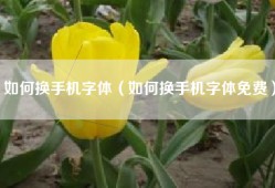 如何换手机字体（如何换手机字体免费）