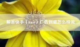 解答快手（kwai）广告到底怎么投流