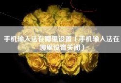 手机输入法在哪里设置（手机输入法在哪里设置关闭）