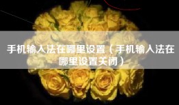 手机输入法在哪里设置（手机输入法在哪里设置关闭）