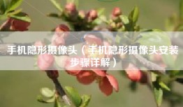 手机隐形摄像头（手机隐形摄像头安装步骤详解）