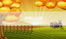 深圳seo公司