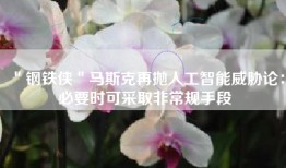 ＂钢铁侠＂马斯克再抛人工智能威胁论：必要时可采取非常规手段