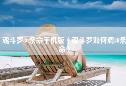 魂斗罗30条命手机版（魂斗罗如何调30条命）