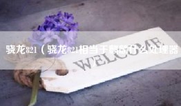 骁龙821（骁龙821相当于麒麟什么处理器）