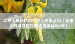 苹果手机可以边打电话边录音吗（苹果手机可以边打电话边录音吗APP）