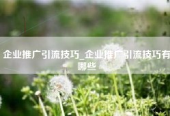 企业推广引流技巧_企业推广引流技巧有哪些