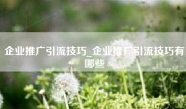 企业推广引流技巧_企业推广引流技巧有哪些