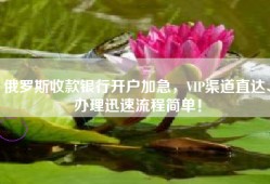 俄罗斯收款银行开户加急，VIP渠道直达、办理迅速流程简单！