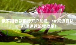 俄罗斯收款银行开户加急，VIP渠道直达、办理迅速流程简单！