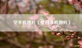 空手机图片（空白手机图片）