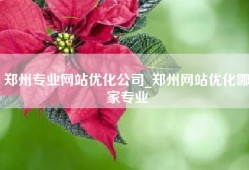 郑州专业网站优化公司_郑州网站优化哪家专业