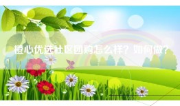 橙心优选社区团购怎么样？如何做？