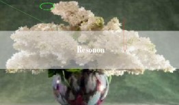 Resonon
