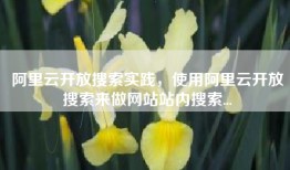 阿里云开放搜索实践，使用阿里云开放搜索来做网站站内搜索...