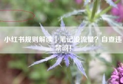 小红书规则解读｜笔记没流量？自查违禁词！