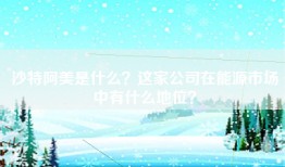 沙特阿美是什么？这家公司在能源市场中有什么地位？
