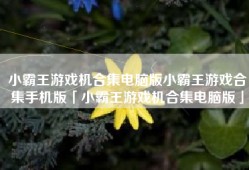 小霸王游戏机合集电脑版小霸王游戏合集手机版「小霸王游戏机合集电脑版」