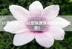 UC竞价推广，让您快速获得流量和转化率！