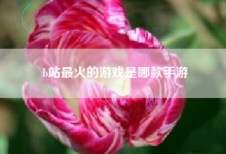 b站最火的游戏是哪款手游