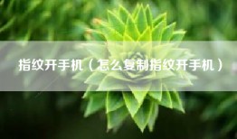 指纹开手机（怎么复制指纹开手机）