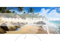 优化排名系统：提升网站曝光与流量的利器