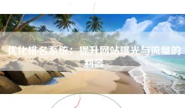 优化排名系统：提升网站曝光与流量的利器