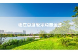 枣庄百度爱采购自运营