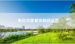 枣庄百度爱采购自运营